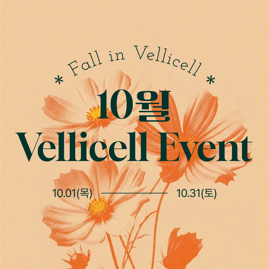 10월 특별 프로모션