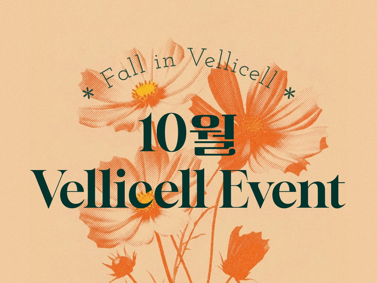 10월 특별 프로모션